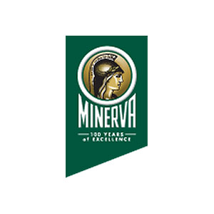 MINERVA