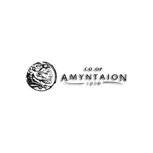 CO.OP AMYNTAION
