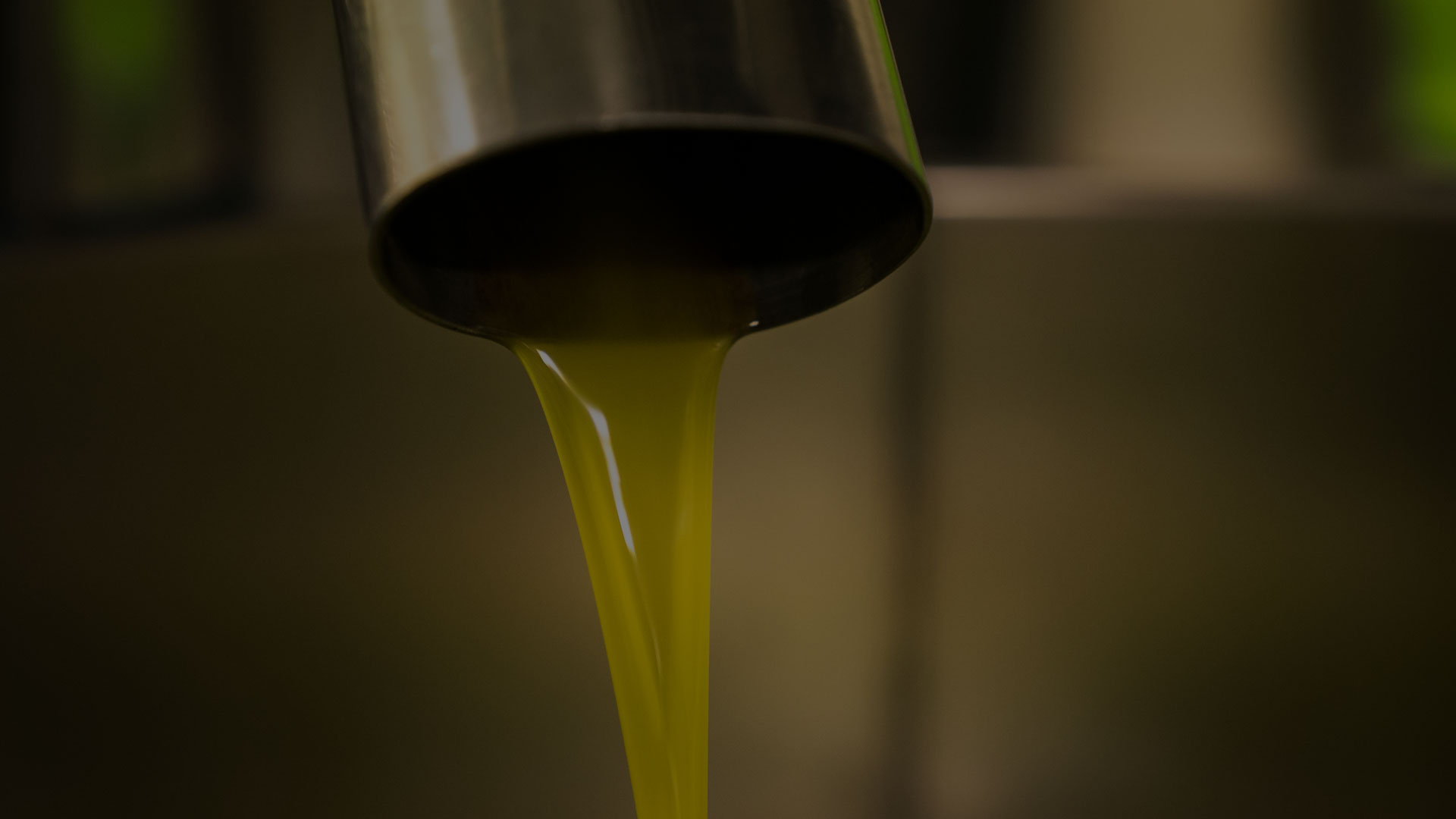 GRINOX PHOTO oil